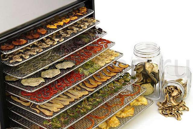 Дегидратор Excalibur Lux 9SS