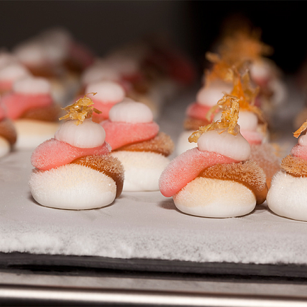 Антигриль Anti-Griddle Polyscience